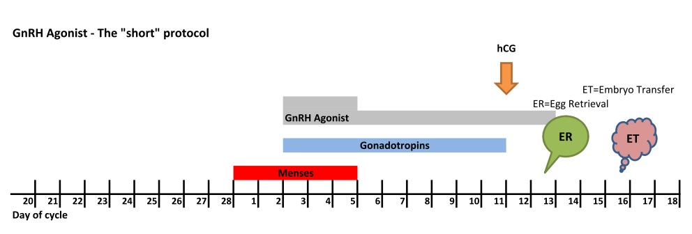 GnRH Agonist Egg Retrieval & Addition of Sperm - กุลพัฒน์การแพทย์ สหคลินิก GnRH Agonist Egg Retrieval & Addition of Sperm - กุลพัฒน์การแพทย์ สหคลินิก
